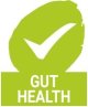 Health_Icon_Gut-Health
